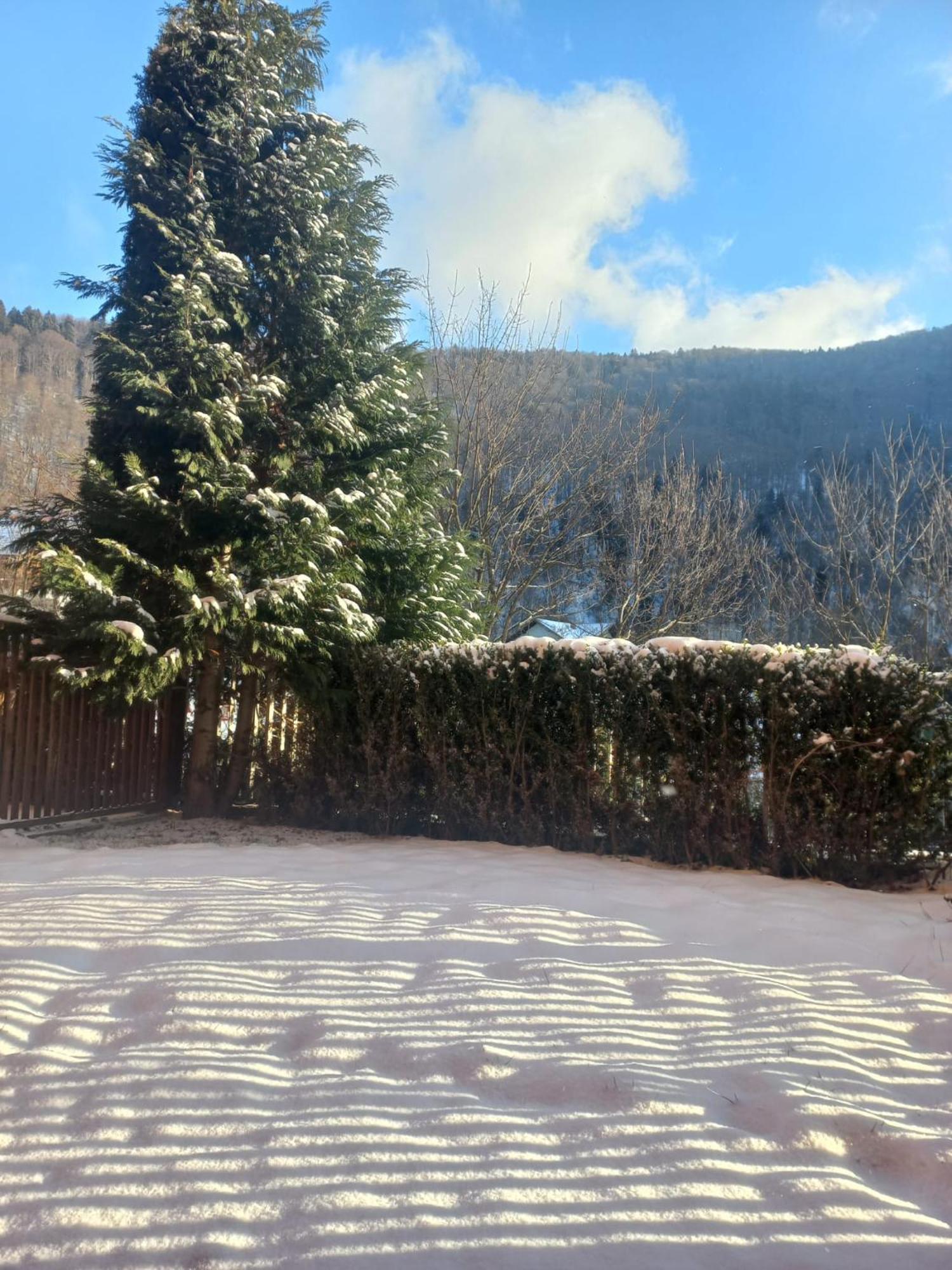 Belleview Garden Studio Sinaia Exterior foto